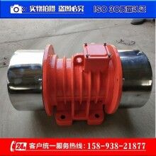 MVE-60-4三相異步振動電機 BZF-15倉壁振動器